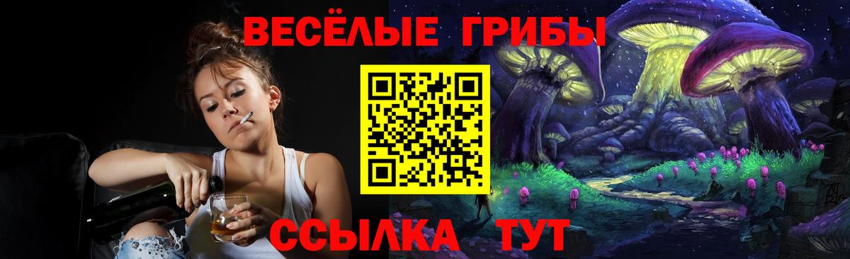 Кимры  Галлюциногенные грибы мухоморы  наркота  Вход с VPN 